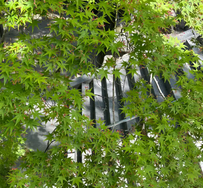 Craniosacral Therapy Session leaves in background over stone steps