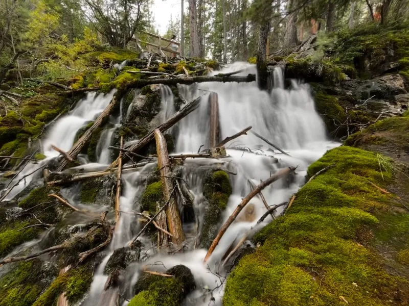 Massage Therapy Session